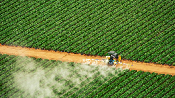Chipley, FL Pest Control Company